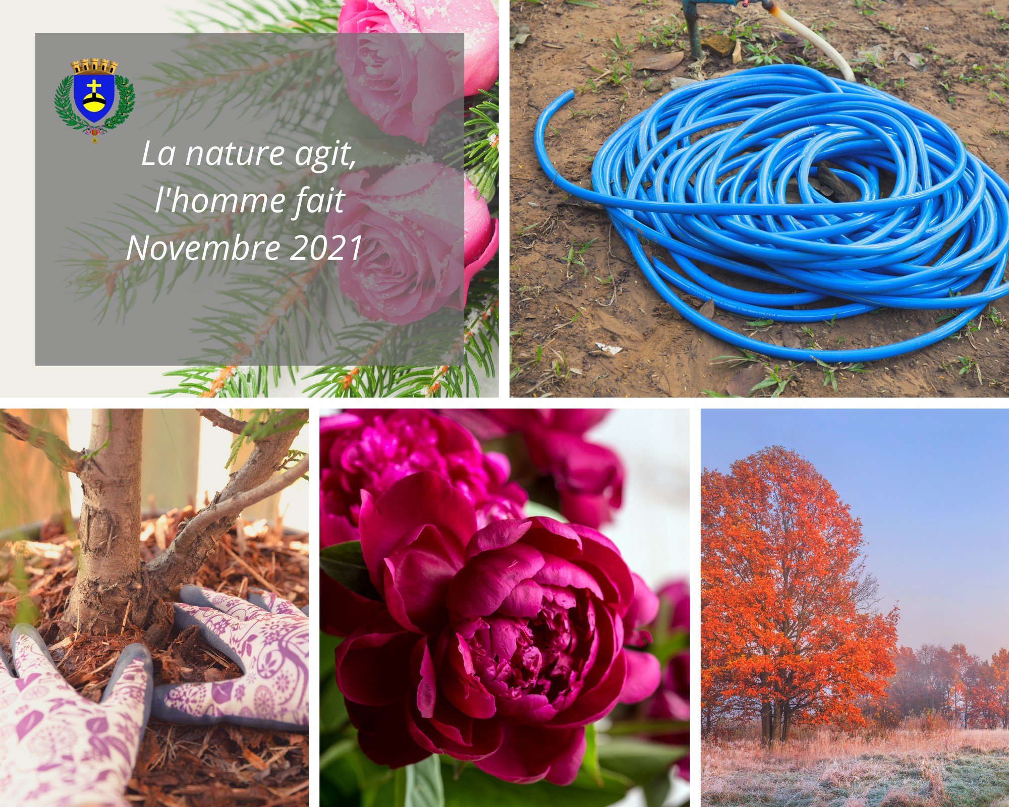 La nature agit, l'homme fait : Novembre 2021 